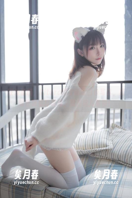 kitaro绮太郎 在线猎喵,kitaro绮太郎的白色写真,猫咪在窝里打游戏,我在这儿看图!